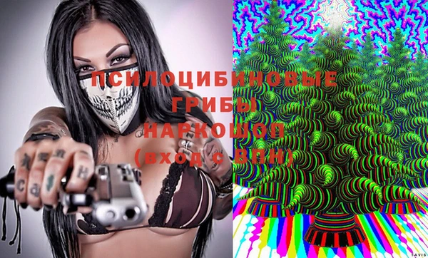 бошки Баксан